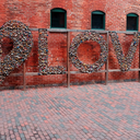 dark-obito-blog avatar