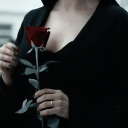dark-rosas avatar