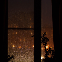 dark-royals-cb avatar