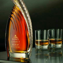 darkanfine317 avatar