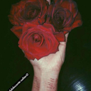 darkblogs-blog avatar