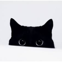 darkcatbunnofhell avatar