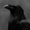 darkcountenance avatar