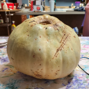 darkdragon169 avatar