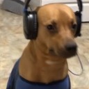 darkelfharlot avatar