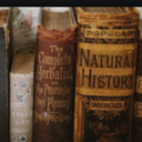 darkenedenchantress avatar