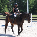 darkerequestrian avatar