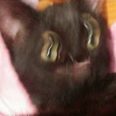 darkestaffinity avatar