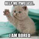 darkestnight12 avatar