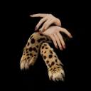 darkfemininenergy avatar