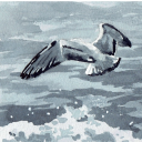 darkgreyshore avatar