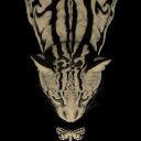 darkhoneysstuff avatar