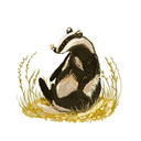 darkhorse2231 avatar