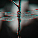 darkiplier-imagines avatar