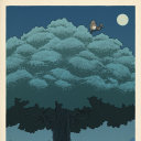 darkishcookies avatar