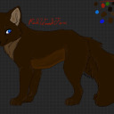 darklightthrlastallwing avatar