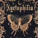 darklingdaydreams avatar