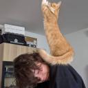 darkly-tinted avatar