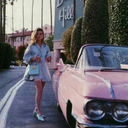 darkmadthoughts avatar