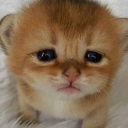 darkmagiciangirlll avatar