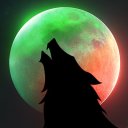 darkmoon-hybe avatar