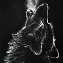 darkmoonlonewolf avatar