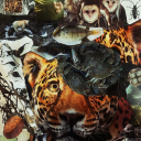 darkmotherdiivine avatar