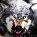 darkness-guides-the-way avatar