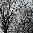 darknesscomesatdawn avatar