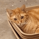 darknessisaqueen avatar