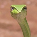 darknessisnear avatar