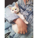 darknesssmiless avatar