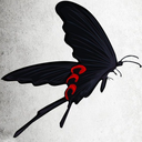 darkobsession008 avatar