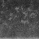 darkopalstudio avatar