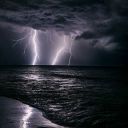 darkphoenix23sblog avatar