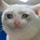 darkprincesss avatar