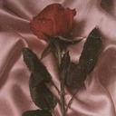 darkroseslove avatar