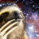 darksloth avatar