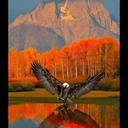 darkstudentlightpony avatar