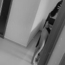 darksunflowerr avatar