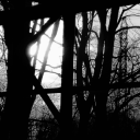 darkvelvetcoffins avatar