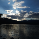 darkwolfatnight avatar