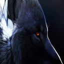 darkwolfknight avatar