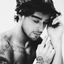 darkzarrythoughts avatar