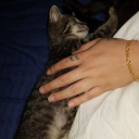 darling-im-here avatar