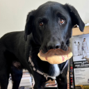 darlingbreathein avatar