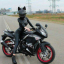 darlingfallout avatar