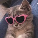 darlingicarus avatar