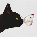 darlingimheretowritensaveurlife avatar