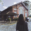 darlingofthewolves avatar